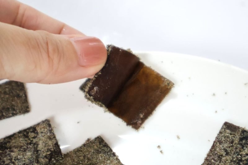 2枚くっついているのはご愛敬