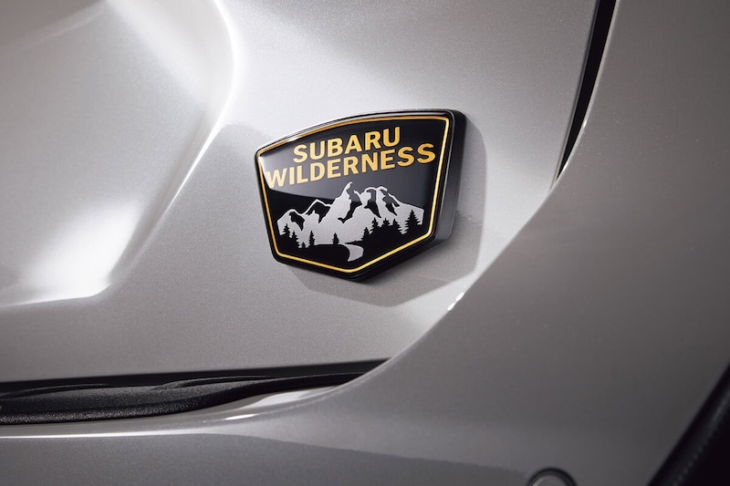 「WILDERNESS」のオーナメントを装備することで特別感を演出