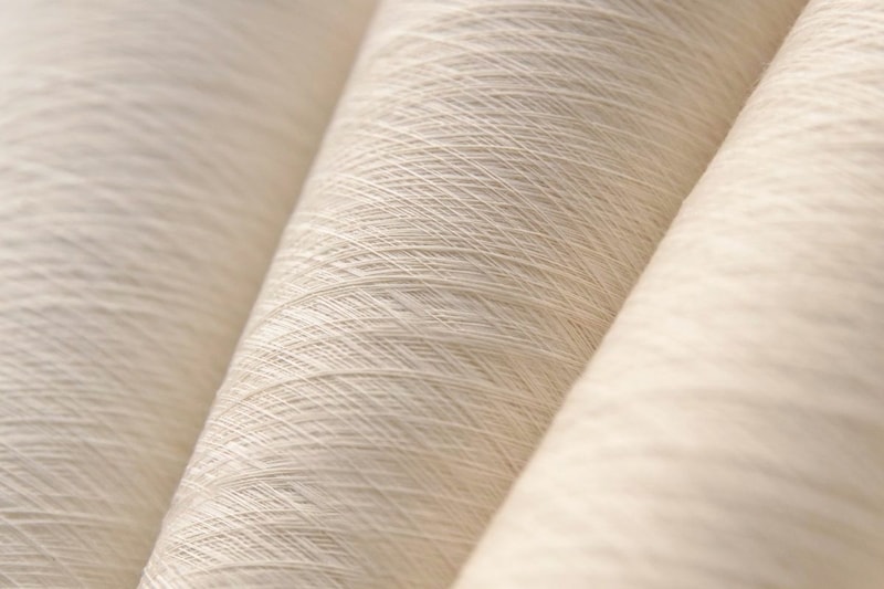 「スパイバー」が開発した次世代繊維素材「Brewed Proteinファイバー」は石油などの化石資源や動物資源に依存せず、植物由来の糖を用いて微生物発酵を利用して製造