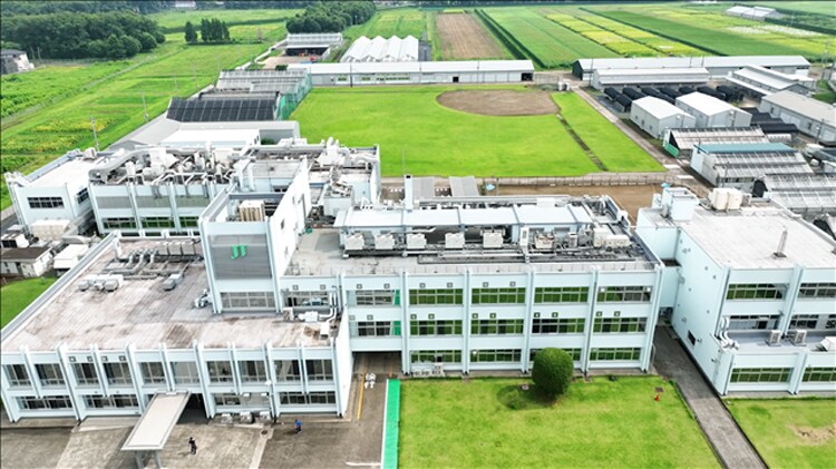 葉たばこ研究所は東京ドーム約6個分もの面積