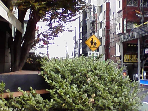 スリーコインズのミニトイカメラで撮影した画像