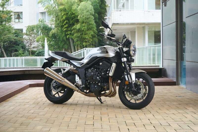 ウルフシルバーメタリック(グレーストライプ)カラー