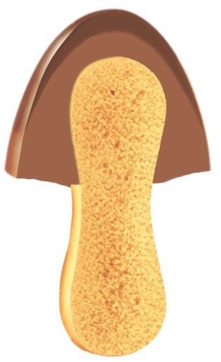 「きのこ」「たけのこ」ともに2層構造のチョコレートを採用