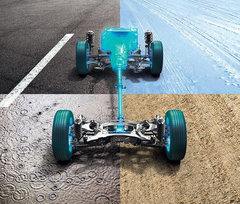 やっぱり左右対称