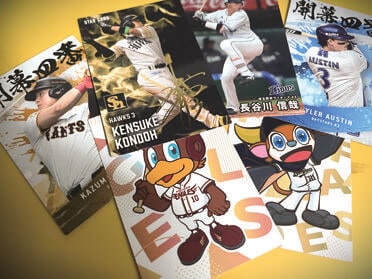 写真は大人になってもずっとカードを集め続けているライターの私物