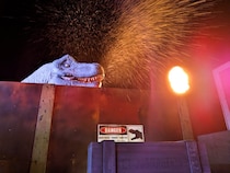 【夜のジャングリアが怖すぎる!?】暗闇からT-Rexが迫る！絶叫必至の「ナイトサファリ」＆お得な午後チケットを解説