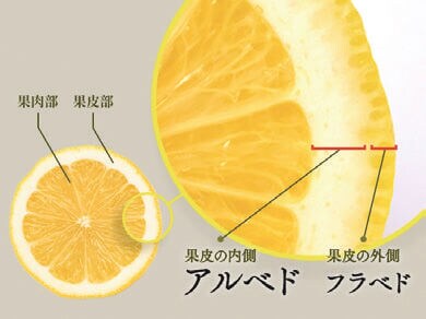 長年の果皮研究の成果！