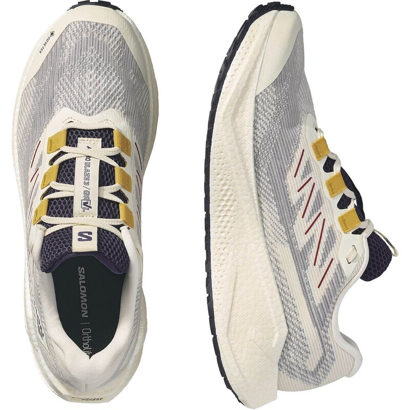 サロモン　エアロ ブレイズ 3 グラベル ゴアテックス