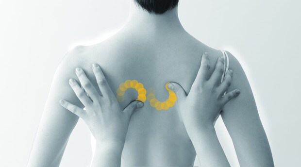 肩甲骨まわりをケアする左右非対称の「ゆらしモード」