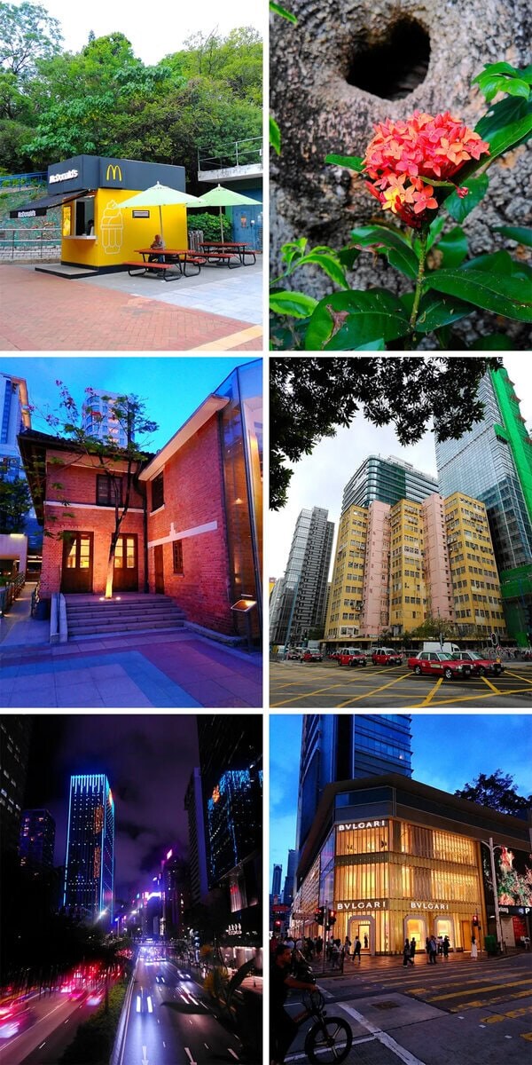 デジタルモードでは、シャッターボタンを押すだけで手軽に撮影できる初心者にも優しい仕様