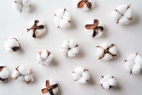 独自開発の繊維を使った生地