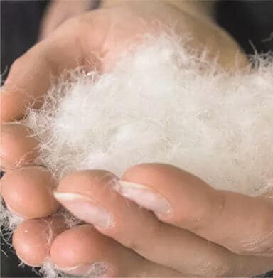 トレーサビリティが確保され、不当な扱いがされていない羽毛製品を選びやすくなる