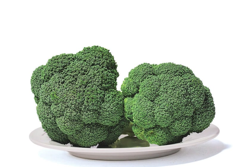 ほぼ半世紀ぶりに指定野菜が誕生します！『ブロッコリー』