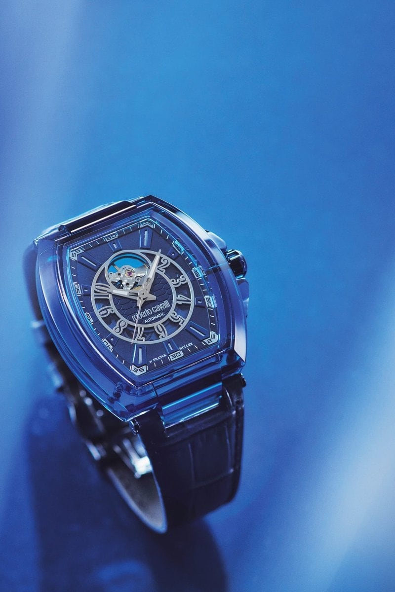 ロベルト・カヴァリ バイ フランク ミュラー RV1G221L0021 ￥437,800