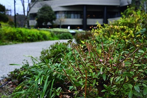 ニコン Zf 40mm f/2（SE）レンズキット　MonoMaxスタッフが使ってみた！ 「背景がボケた写真が簡単に撮れて感動！ ダイヤルを回して設定するのは男心をくすぐりますね」（ライター・金山）