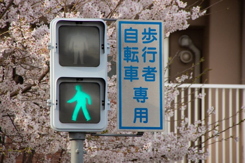 歩行者・自転車専用の信号。この場合は歩行者といっしょに進む