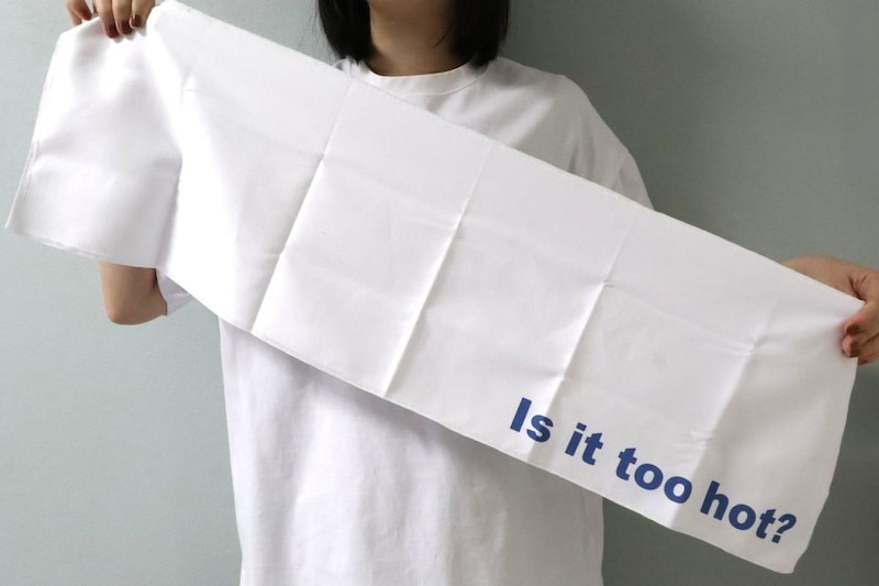 25×80cmのメガネ拭きっぽい触感のタオル