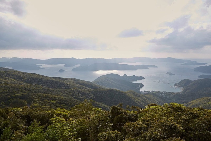 奄美大島は、2021年に徳之島、沖縄島北部、西表島とともに世界自然遺産に登録