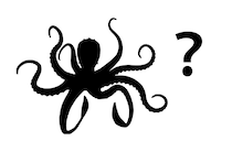 タコは犬よりも賢い？その驚きの知能とは