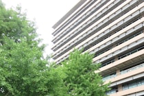 『児童生徒8人にわいせつ行為』、「性的な関係を誘うメール」など…　【2人の教諭】を懲戒処分