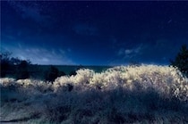 狭山公園が10日間限定で異世界に！無料ライトアップと映えフォトスポット出現　11月7日から