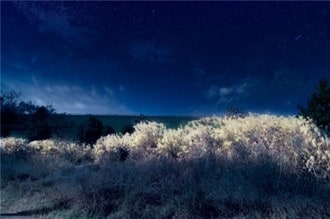 狭山公園が10日間限定で異世界に！無料ライトアップと映えフォトスポット出現　11月7日から