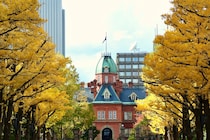 生徒4人を乗せて『居眠り運転・街路樹に激突』　中学校教諭(43)減給処分　生徒は「右腕骨折」の重傷