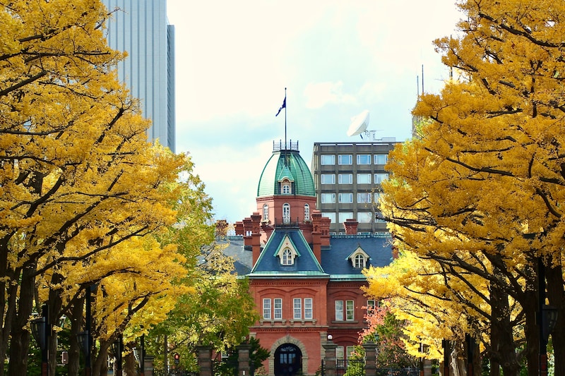 生徒4人を乗せて『居眠り運転・街路樹に激突』 中学校教諭(43)減給処分 生徒は「右腕骨折」の重傷