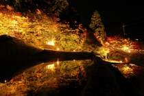 島根がアツい！迫力の「火を吹く大蛇」にW金賞ワイン、美肌温泉まで網羅した秋冬旅