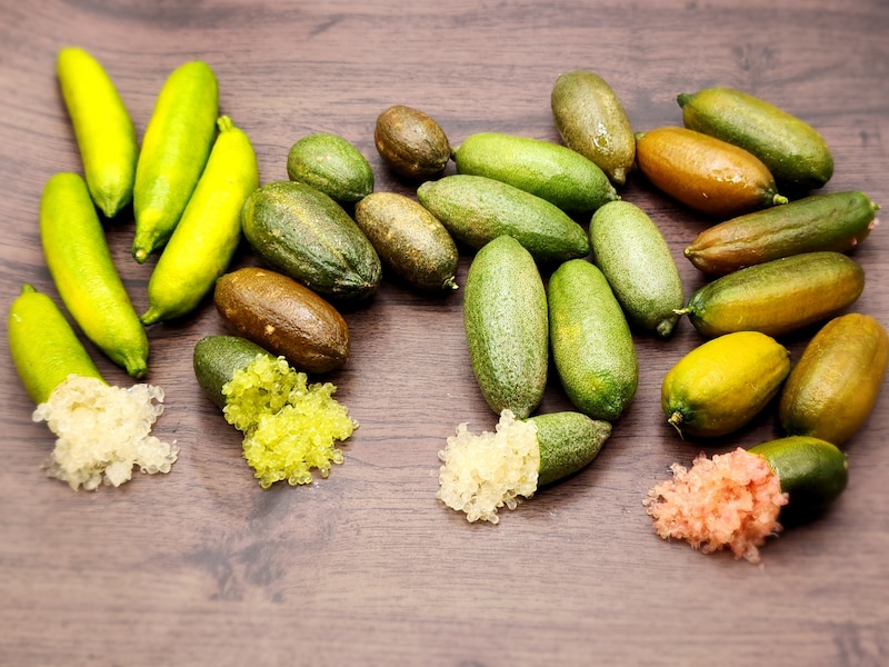 なぜラベル会社が農業に？ 老舗企業が“森のキャビア”に賭けた理由