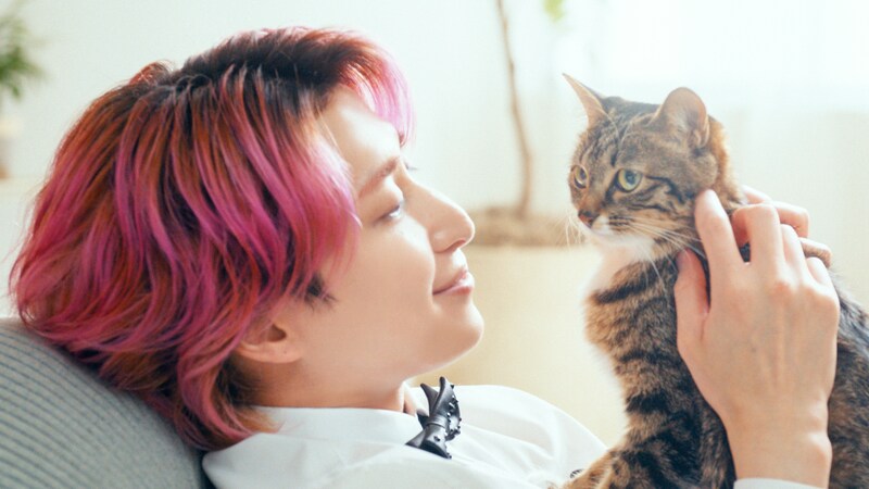 佐久間大介(Snow Man)出演! 【懐石】CM第2弾『佐久間さんのおもてなし』篇公開!! 佐久間「それぞれの猫ちゃんって自由…」