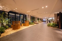 札幌駅徒歩１分で“北海道の自然”を五感で体感、人気ホテル「ホテルグレイスリー札幌」が全面リニューアルで新空間に