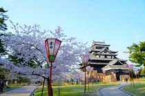 国宝×桜が今だけ重なる——島根・松江城「お城まつり」3月25日開幕