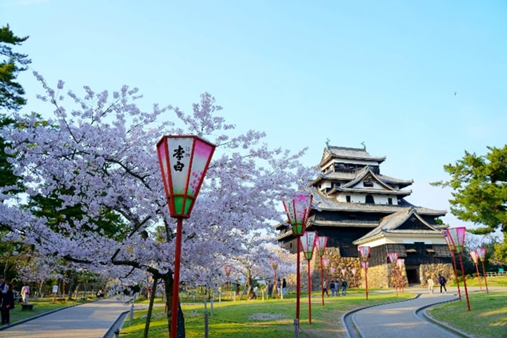 国宝×桜が今だけ重なる——島根・松江城「お城まつり」3月25日開幕