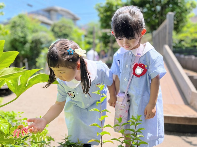 なぜ都市部で「園庭を知らない子ども」が増えているのか? 私立保育所の7割が園庭なしの危機と、幼児教育が向き合う「体験格差」