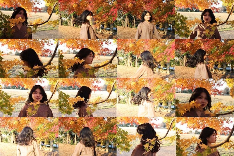 新型EOS R6 Mark IIか、10万円安いEOS R6か? 決断のポイントは『食いつき』