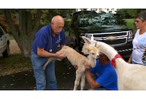 3月のナショナル ジオグラフィックも屈指の人気番組・新番組が続々日本初放送！