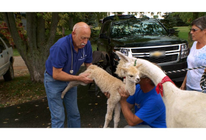 3月のナショナル ジオグラフィックも屈指の人気番組・新番組が続々日本初放送！