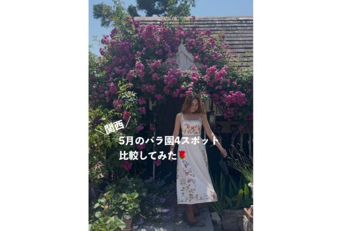 5月の旅行・お出かけに！バラ園4スポット比較してみた🌹