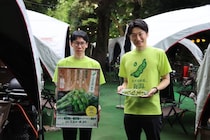 「えだまめ県、新潟。」の味を東京で堪能！明治神宮外苑「森のビアガーデン」に“新潟産えだまめ”が期間限定登場
