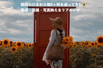 夏といえばひまわり！関西のひまわり畑5選🌻