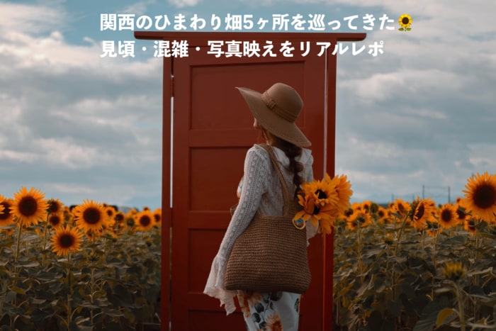 夏といえばひまわり！関西のひまわり畑5選🌻