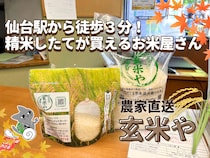 【仙台駅前のお米屋さん】令和７年度の宮城県産新米あります！精米したてで超美味しい1等米のひとめぼれ/ササニシキ/つや姫～『農家直送 玄米や』南町通り～
