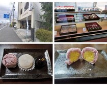 つきたてのような柔らかさ!老舗和菓子屋の「ごま玉」に感動『みちのく煎餅本舗』~大崎市古川~