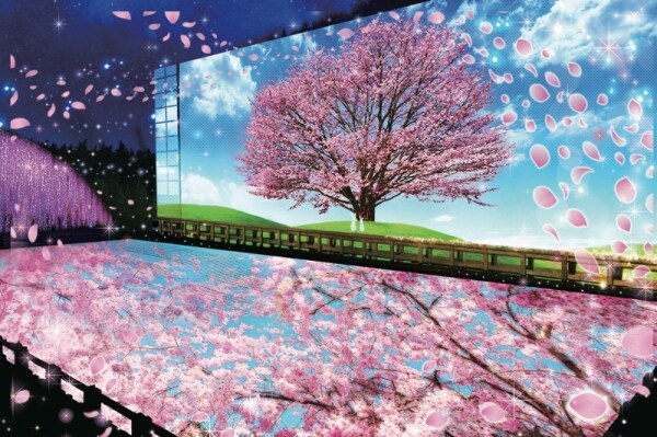 新たな「日本三大イルミネーション」を決める投票結果を発表!その第一弾「東日本イルミネーションTOP10」が決定!!