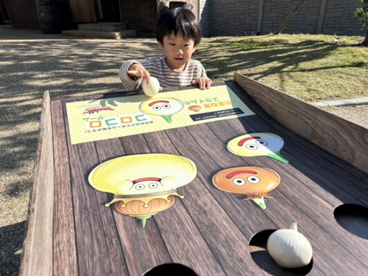 今年最後の冒険でお宝ゲットを目指せ！はじめてのクエスト『キミのチャレンジ！ころころビンゴでお宝ゲット』 2025年11月29日（土）より期間限定で開催