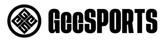 GeeSports(ジースポーツ)用ゲーム『Gerogue(ジェローグ)』、「京都府知事杯シニア・ジュニアeスポーツ大会」の競技タイトルに採用決定