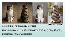 2枚の写真で「背面の毛柄」まで再現 ねこのフルカラー3Dフィギュアサービス『3Dねこフィギュア』 背面柄反映オプションを提供開始
