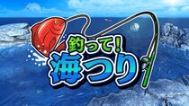 簡単操作で奥深い！「釣って！海つり」ただいま予約受付中！