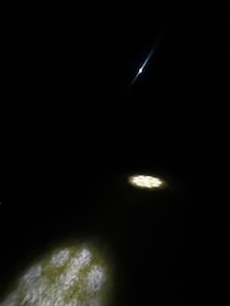 全国で第一位を獲得した、SDGsイルミネーション！夜景評論家・丸々もとおプロデュース「南国ECOライツ」がパワーアップして開幕。